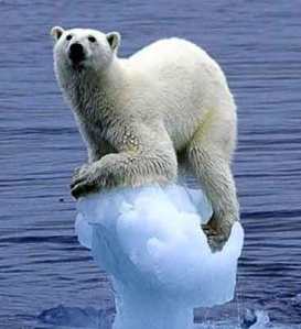 ijsbeer-op-zoek-naar-ijs